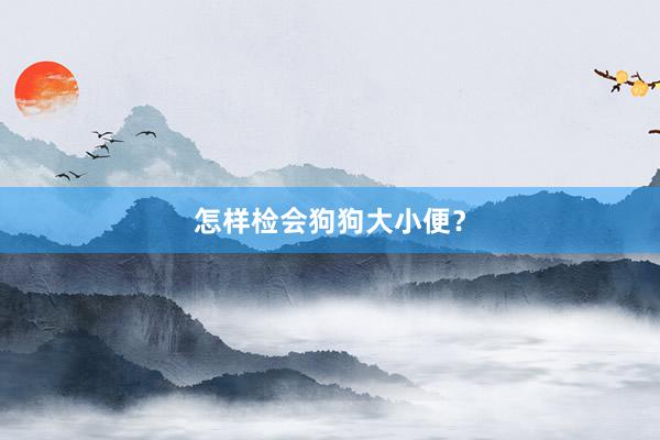 怎样检会狗狗大小便?