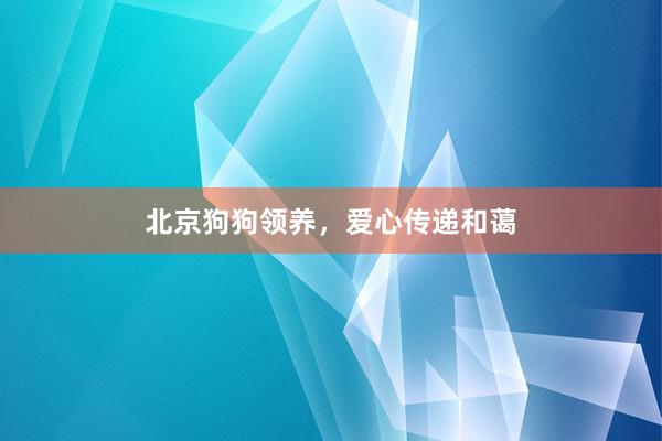北京狗狗领养，爱心传递和蔼