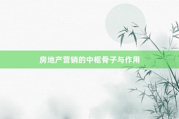 房地产营销的中枢骨子与作用